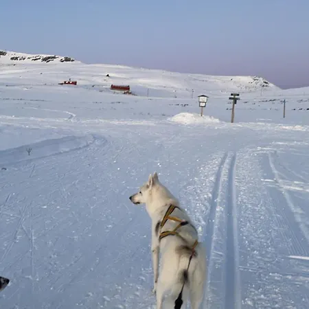 Perfectly Located-close To Slopes And Hiking Trails