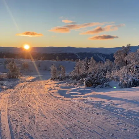 Perfectly Located-close To Slopes And Hiking Trails