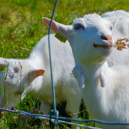 Perfectly Located-close To Slopes And Hiking Trails