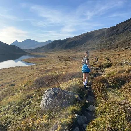 Апартаменты Perfectly Located-close To Slopes And Hiking Trails Beitostolen