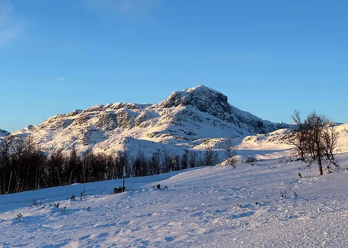 Perfectly Located-close To Slopes And Hiking Trails Daire *